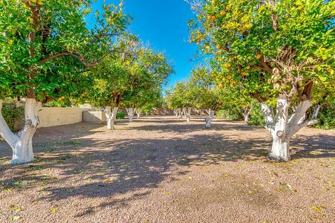 3352 E June Cir, Mesa, AZ 85213 photo 58