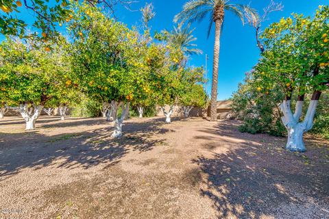 3352 E June Cir, Mesa, AZ 85213 photo 57