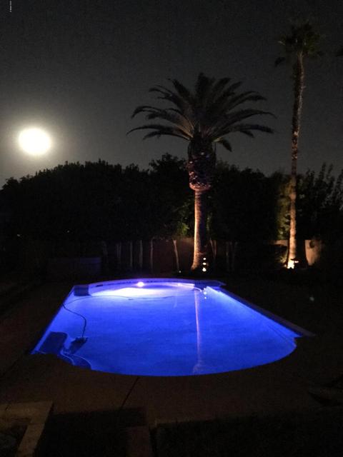 4715 E Sheena Dr, Phoenix, AZ 85032 photo 21