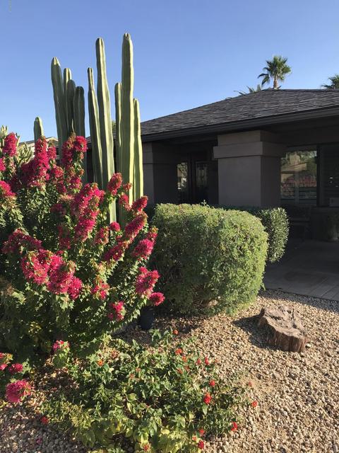 4715 E Sheena Dr, Phoenix, AZ 85032 photo 19