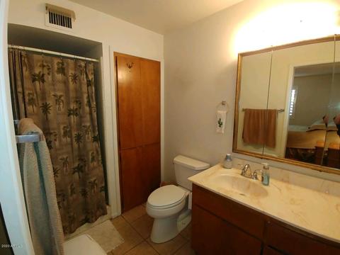 4458 E Delta Ave, Mesa, AZ 85206 photo 10