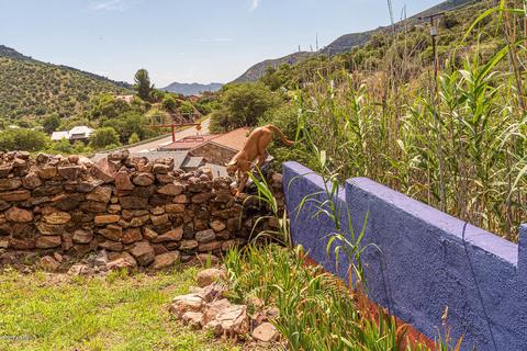 922 Upper Sims Rd, Bisbee, AZ 85603 photo 47