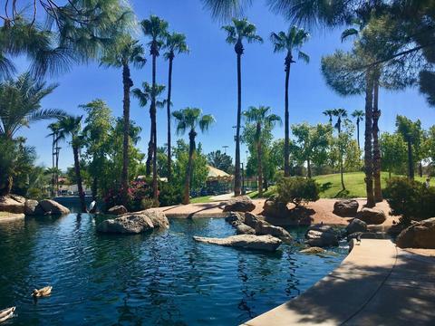 964 E Scott Ave, Gilbert, AZ 85234 photo 23
