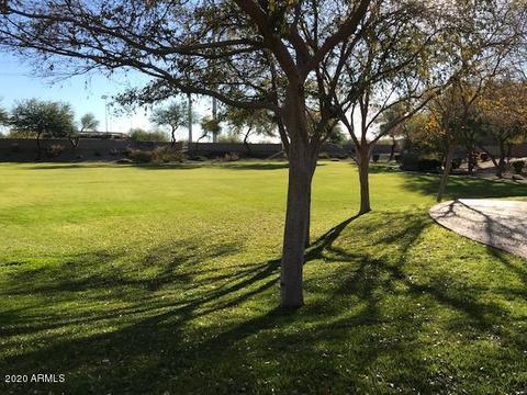 4518 E Olney Ave, Gilbert, AZ 85234 photo 17