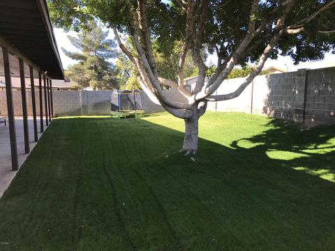 6106 E Ivyglen St, Mesa, AZ 85205 photo 28