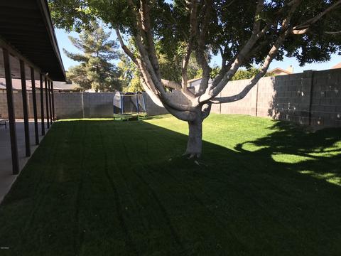 6106 E Ivyglen St, Mesa, AZ 85205 photo 29