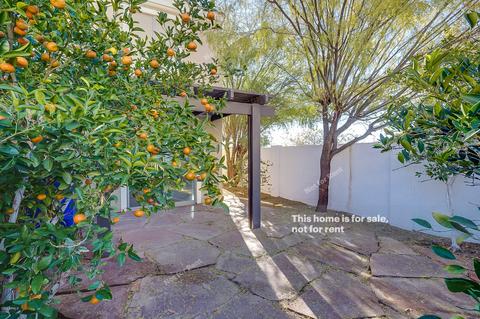 2681 E Bart St, Gilbert, AZ 85295 photo 15