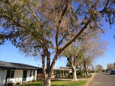 2222 W Weldon Ave, Phoenix, AZ 85015 photo 3