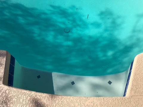 6418 W Weldon Ave, Phoenix, AZ 85033 photo 14