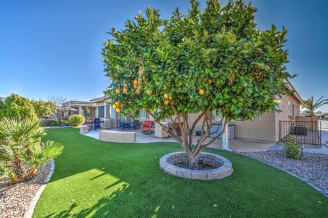 3100 E County Down Dr, Chandler, AZ 85249 photo 51
