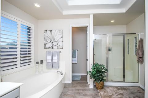 6424 E Odessa St, Mesa, AZ 85215 photo 17