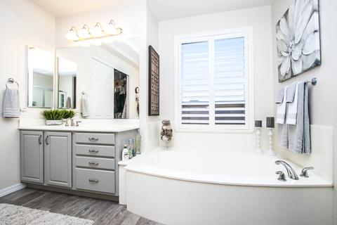 6424 E Odessa St, Mesa, AZ 85215 photo 18