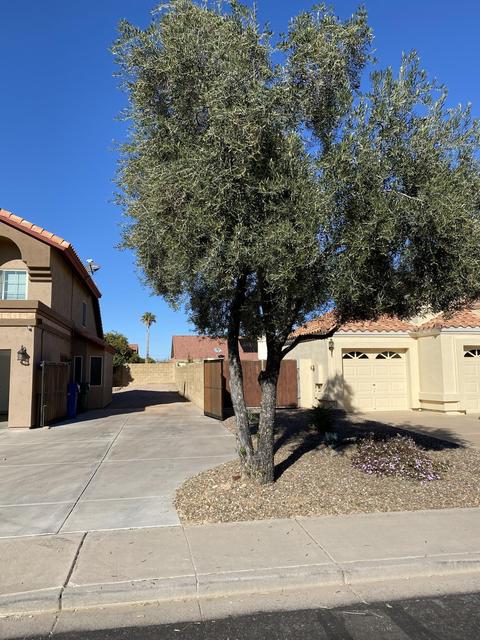 3002 E Nance St, Mesa, AZ 85213 photo 24
