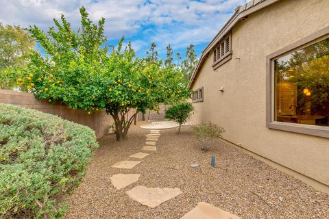 540 E Mary Ln, Gilbert, AZ 85295 photo 44