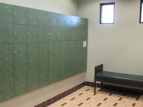 3141 E County Down Dr, Chandler, AZ 85249 photo 41