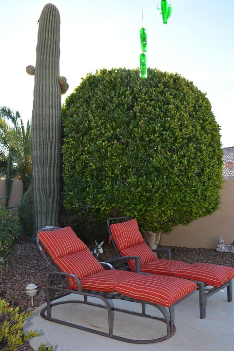 1069 W 14th Ave, Apache Junction, AZ 85120 photo 17