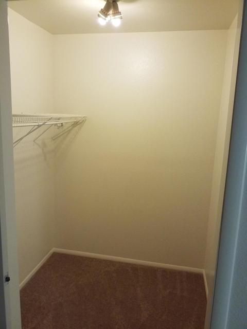 3041 W Dailey St, Phoenix, AZ 85053 photo 24