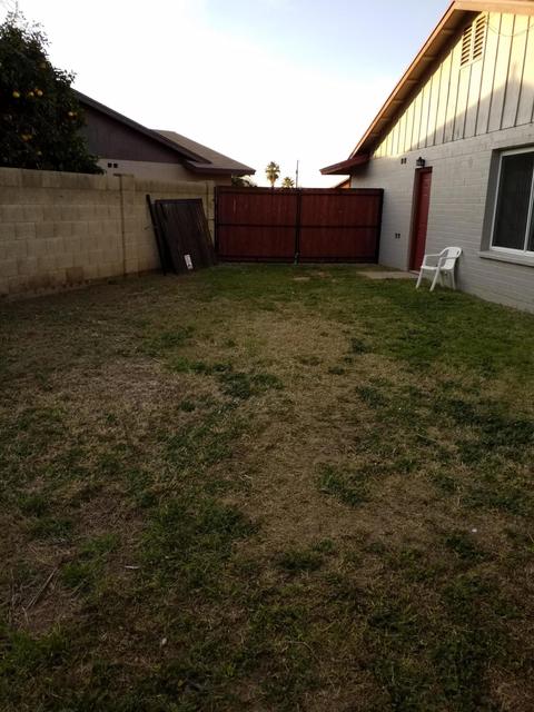 3041 W Dailey St, Phoenix, AZ 85053 photo 5