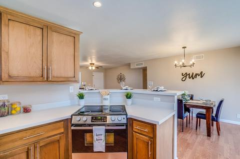 1650 N Freeman --, Mesa, AZ 85201 photo 12