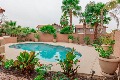 3619 E Desert Flower Ln, Phoenix, AZ 85044 photo 2