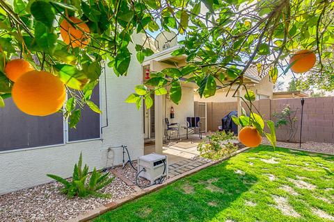 656 N Terrace Rd, Chandler, AZ 85226