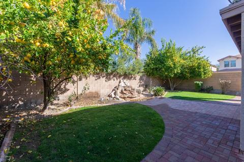 1922 E Cashman Rd, Phoenix, AZ 85024 photo 39