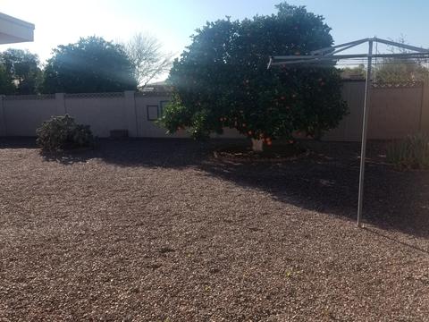 6449 E Dallas St, Mesa, AZ 85205 photo 12