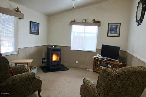 2878 Cattle Trail Rd, Overgaard, AZ 85933 photo 15