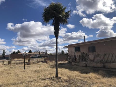 1625 E 20th St, Douglas, AZ 85607 photo 7