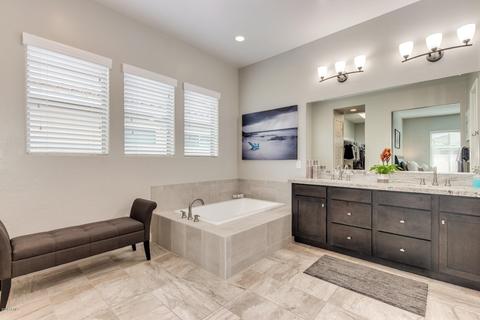 10333 E Gamma Ave, Mesa, AZ 85212 photo 20