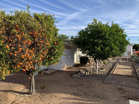 5449 E Aspen Ave, Mesa, AZ 85206 photo 4