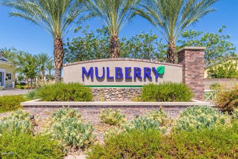 10665 E Nido Ave, Mesa, AZ 85209 photo 36