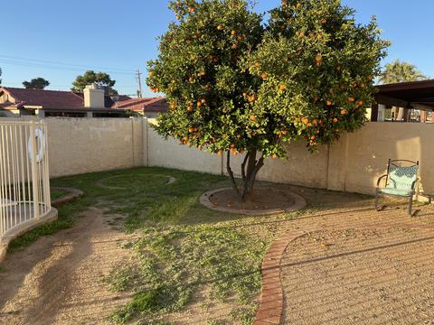 2833 W Northview Ave, Phoenix, AZ 85051 photo 5
