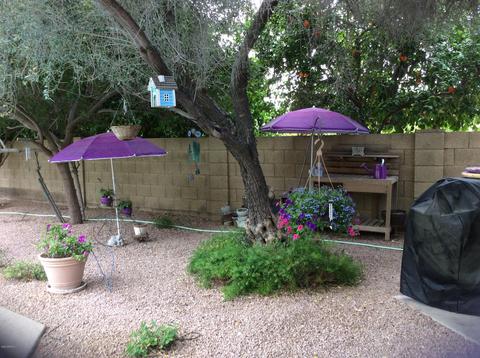 1847 E Greentree Dr, Tempe, AZ 85284 photo 45
