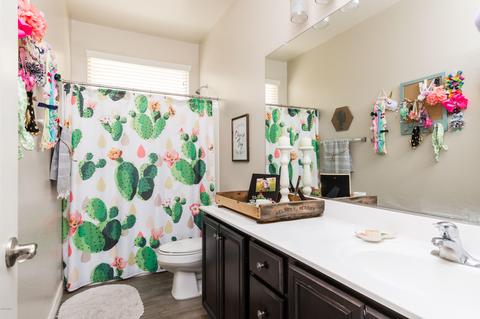 1163 E Ibis St, Gilbert, AZ 85297 photo 18