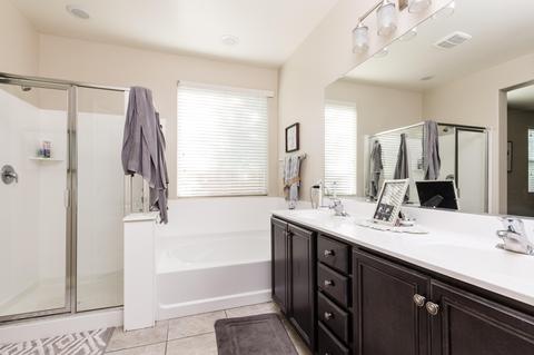 1163 E Ibis St, Gilbert, AZ 85297 photo 14