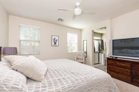 1163 E Ibis St, Gilbert, AZ 85297 photo 13