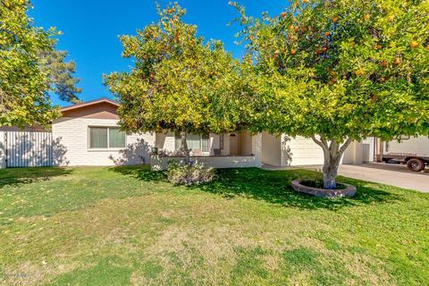 810 E Todd Dr, Tempe, AZ 85283 photo 29