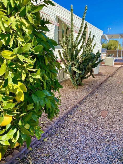 7750 E Broadway Rd #343, Mesa, AZ 85208 photo 50