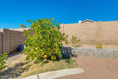 11412 E Downing St, Mesa, AZ 85207 photo 45