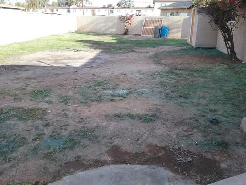 1402 N 38th Dr, Phoenix, AZ 85009 photo 12