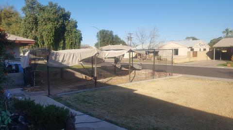4738 N 14th Ave, Phoenix, AZ 85013 photo 12