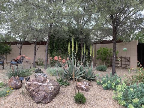 4418 E Gelding Dr, Phoenix, AZ 85032 photo 22