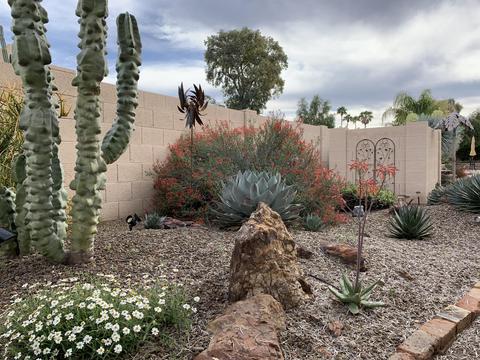 4418 E Gelding Dr, Phoenix, AZ 85032 photo 21