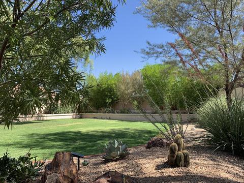 4418 E Gelding Dr, Phoenix, AZ 85032 photo 20