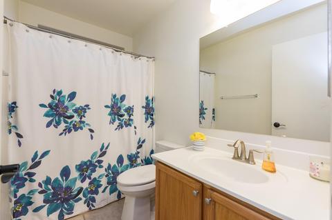2629 E Beautiful Ln, Phoenix, AZ 85042 photo 16