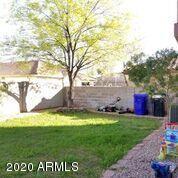 3644 E Constitution Dr, Gilbert, AZ 85296 photo 8