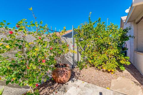 6109 E Princess Dr, Mesa, AZ 85205 photo 47