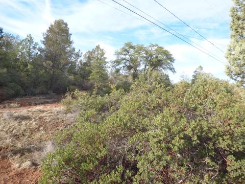 1007 W Saddle Ln, Payson, AZ 85541 photo 24