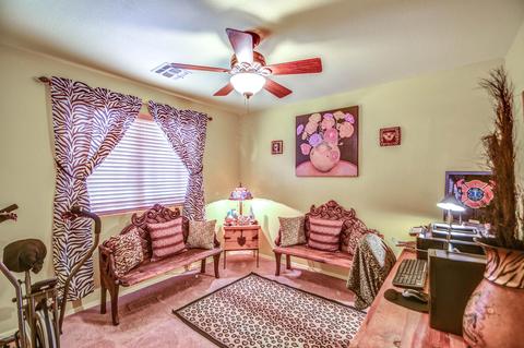 11346 E Downing Cir, Mesa, AZ 85207 photo 39